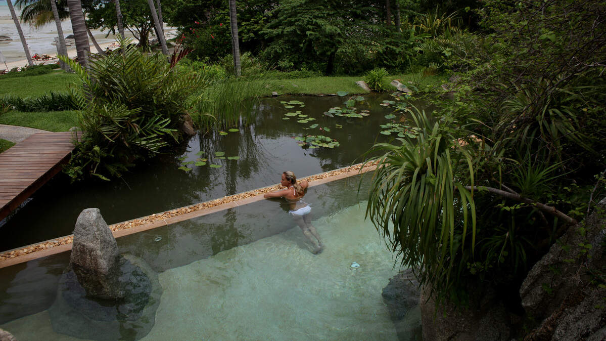 Experts Question Whether Wellness Retreats Really Change Lives
