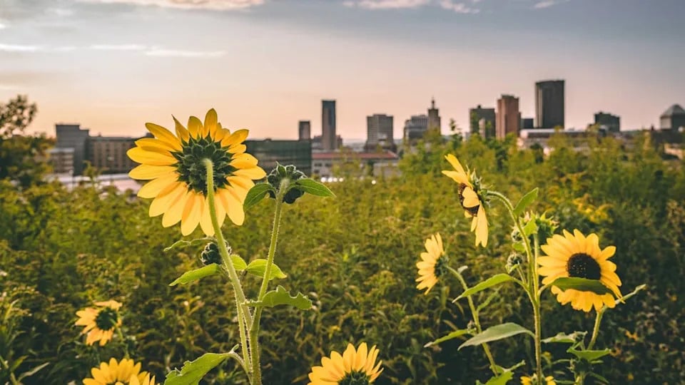 Minneapolis, St. Paul Rank Near Top in Park System Survey