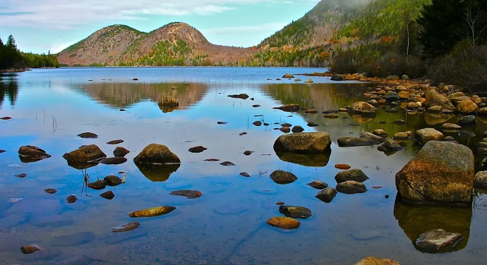10 National Parks Where Dogs Are Welcome