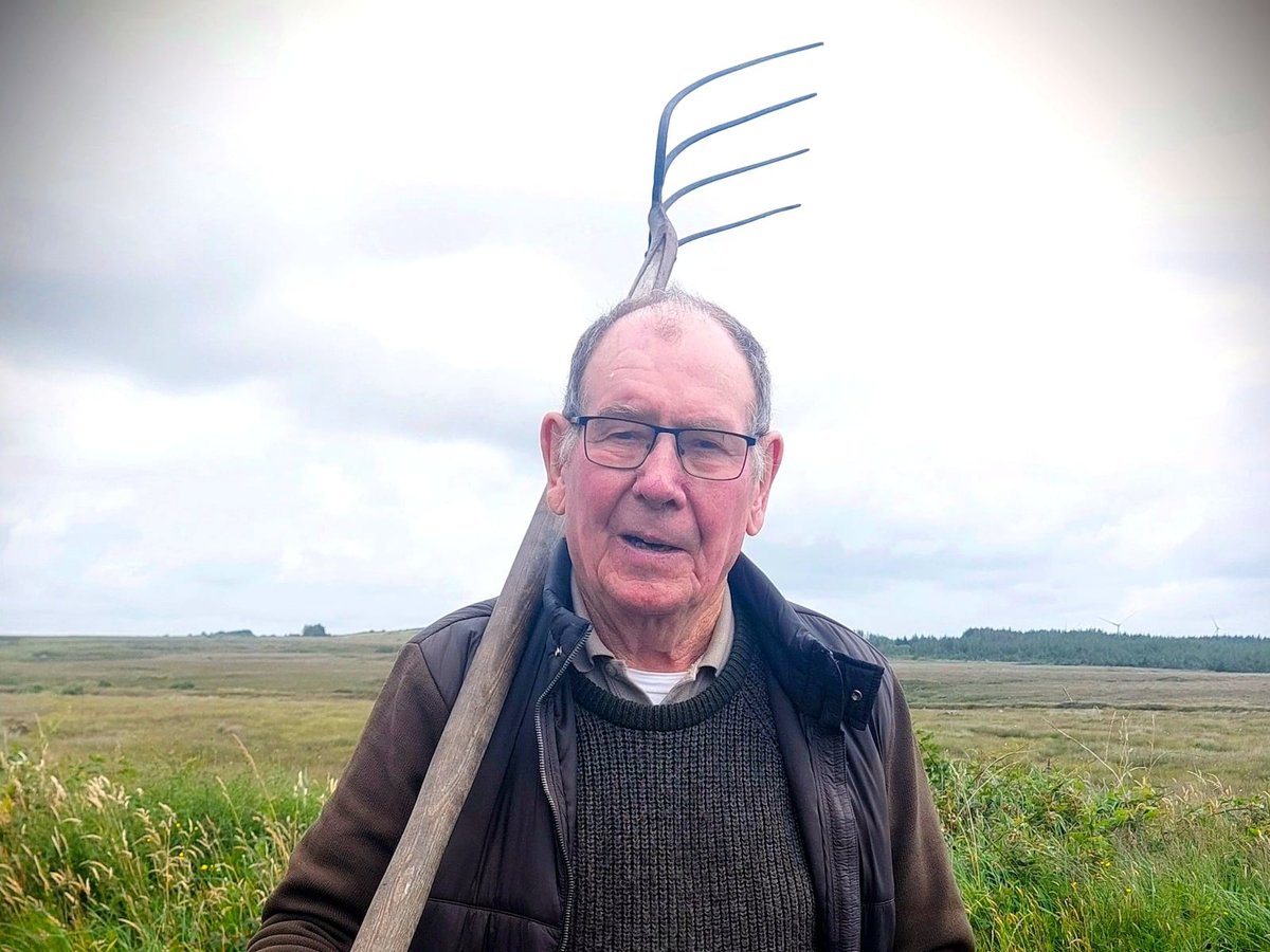 Best New TV Shows to Watch Starting Tonight