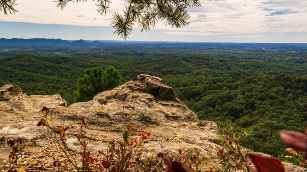 Skip Great Smoky Mountains For This Less-Crowded Forest