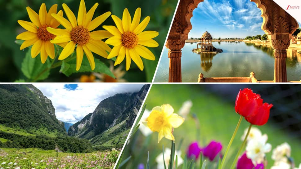 8 Stunning Spring Spots to Visit in India