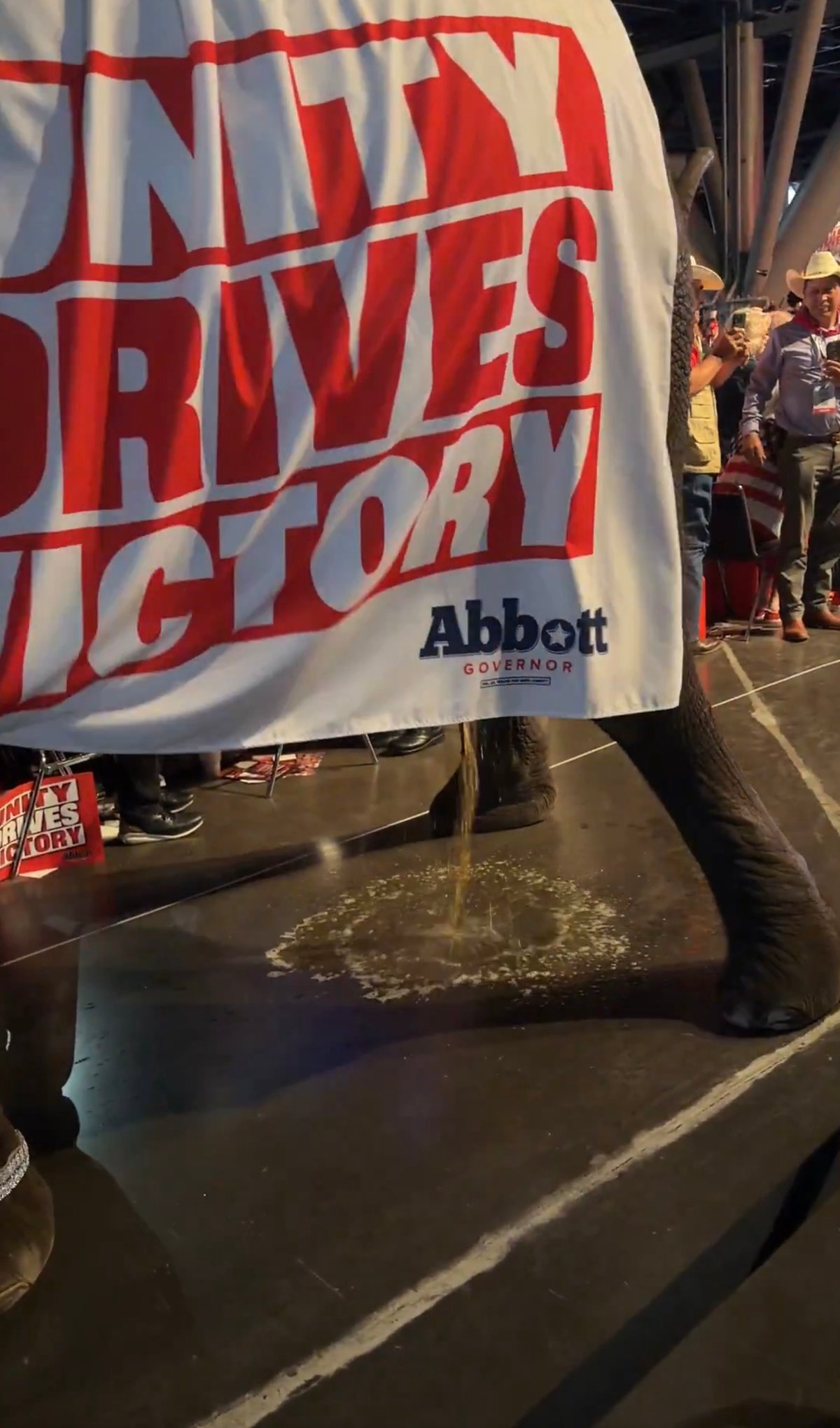 Elephant Pees At Texas GOP Convention Near Press