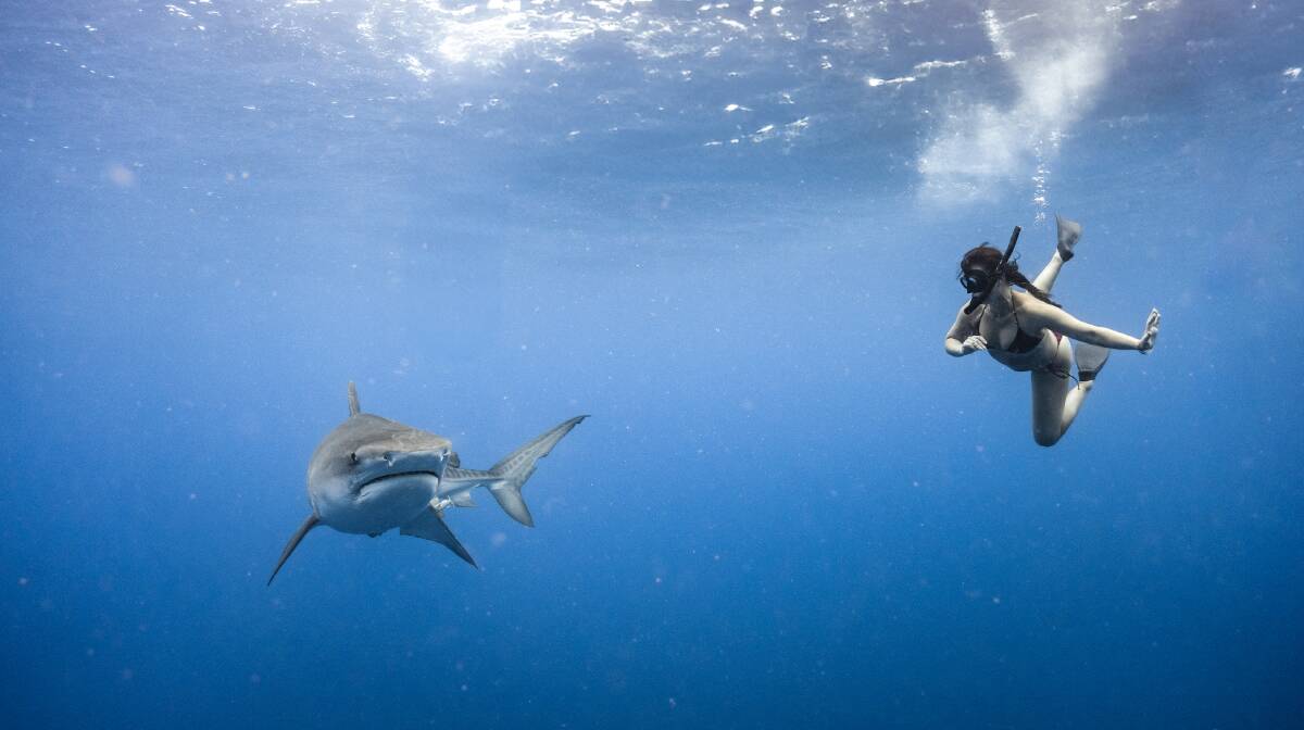 10 Unexpected Hawaii Experiences to Discover