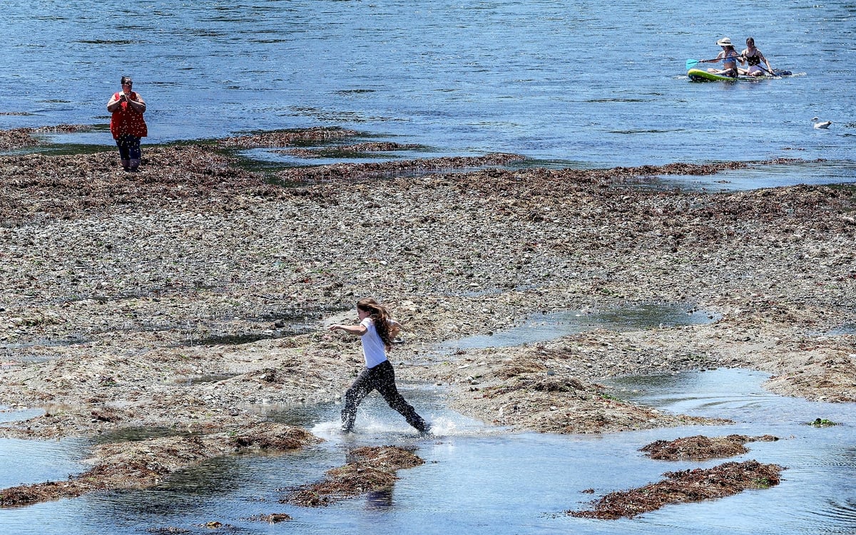 Low Tides Coming To Washington Beaches - Best Times To Watch
