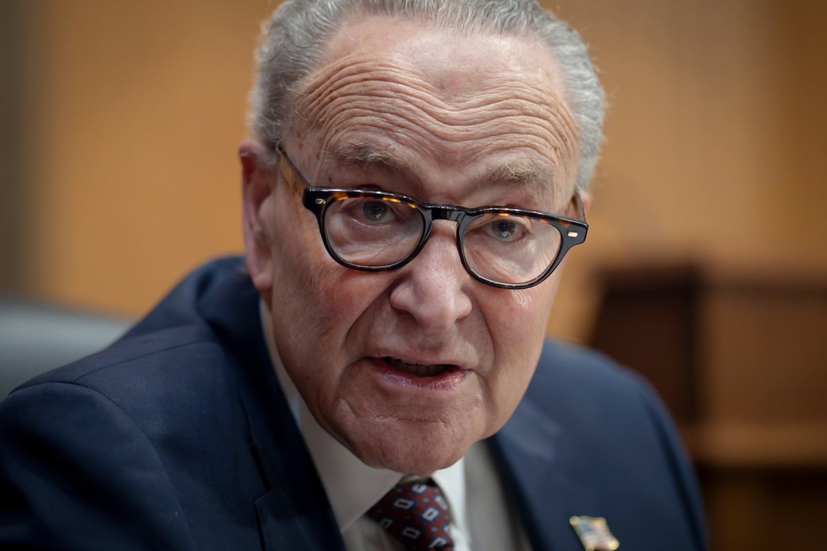 Schumer's Senate Flip Plan Hits Dem Snags