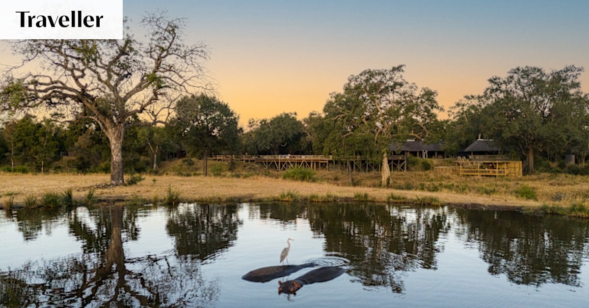 Budget Vs. Luxury Safaris Put To The Test