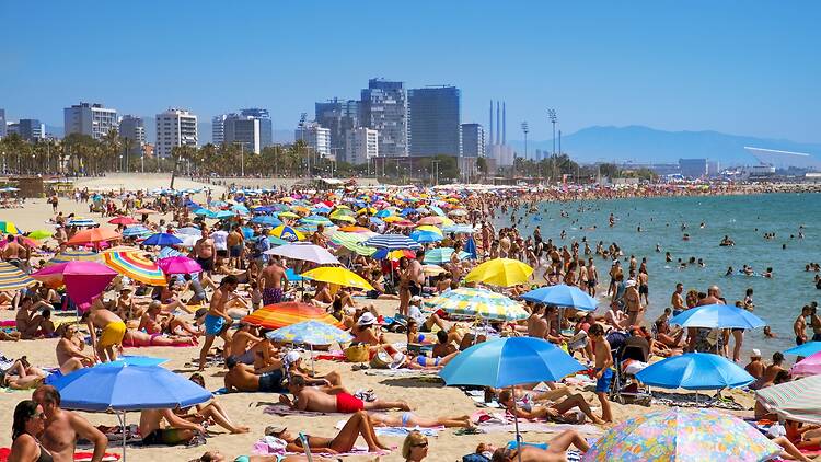 Europe's New Summer Rules: Charges, Caps