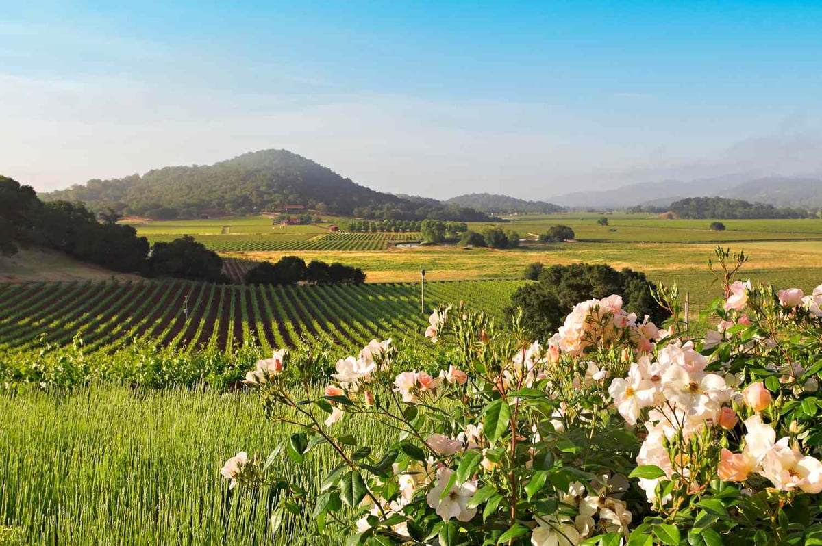 Travel Pros Agree on the Best U.S. Summer Destination