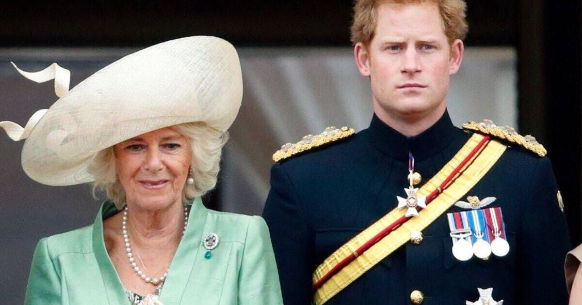 Prince Harry’s Two-Word Camilla Nickname Sparks Fresh Backlash