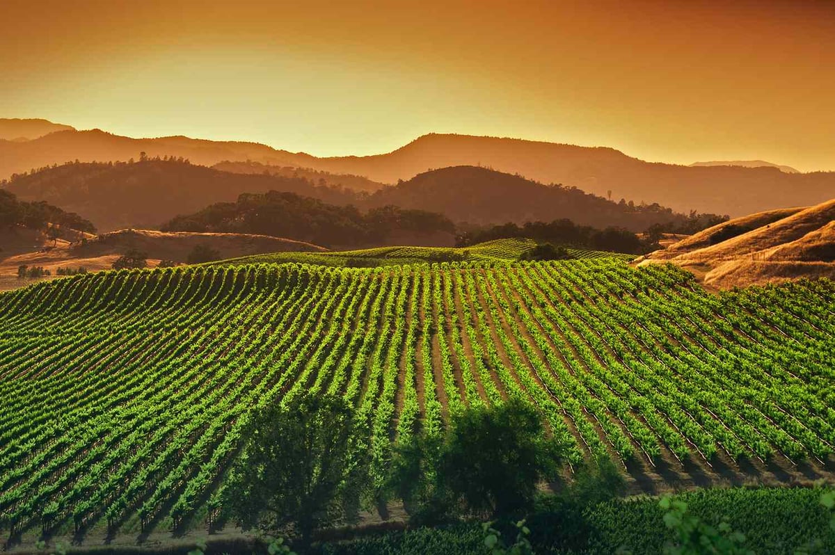 25 U.S. Dupe Destinations For Europe’s Top Summer Escapes